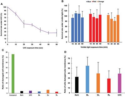 Light response of Vibrio parahaemolyticus